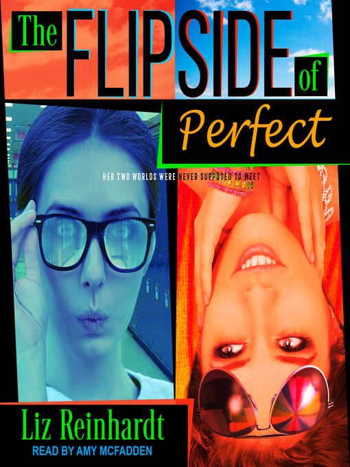 Title details for The Flipside of Perfect by Liz Reinhardt - Available
